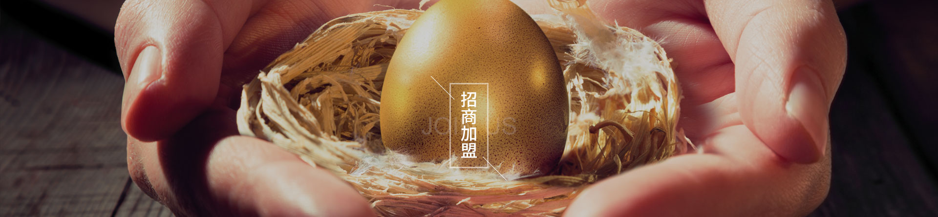加盟政策